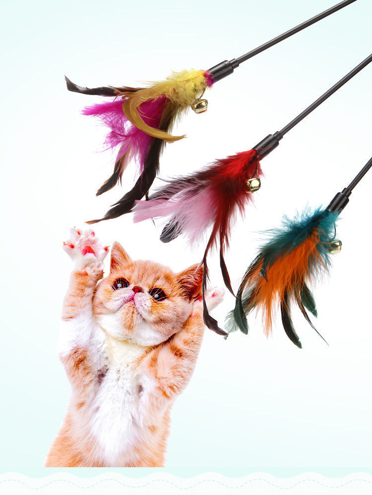 Colorful Feather Cat Wand, Teaser With Bell